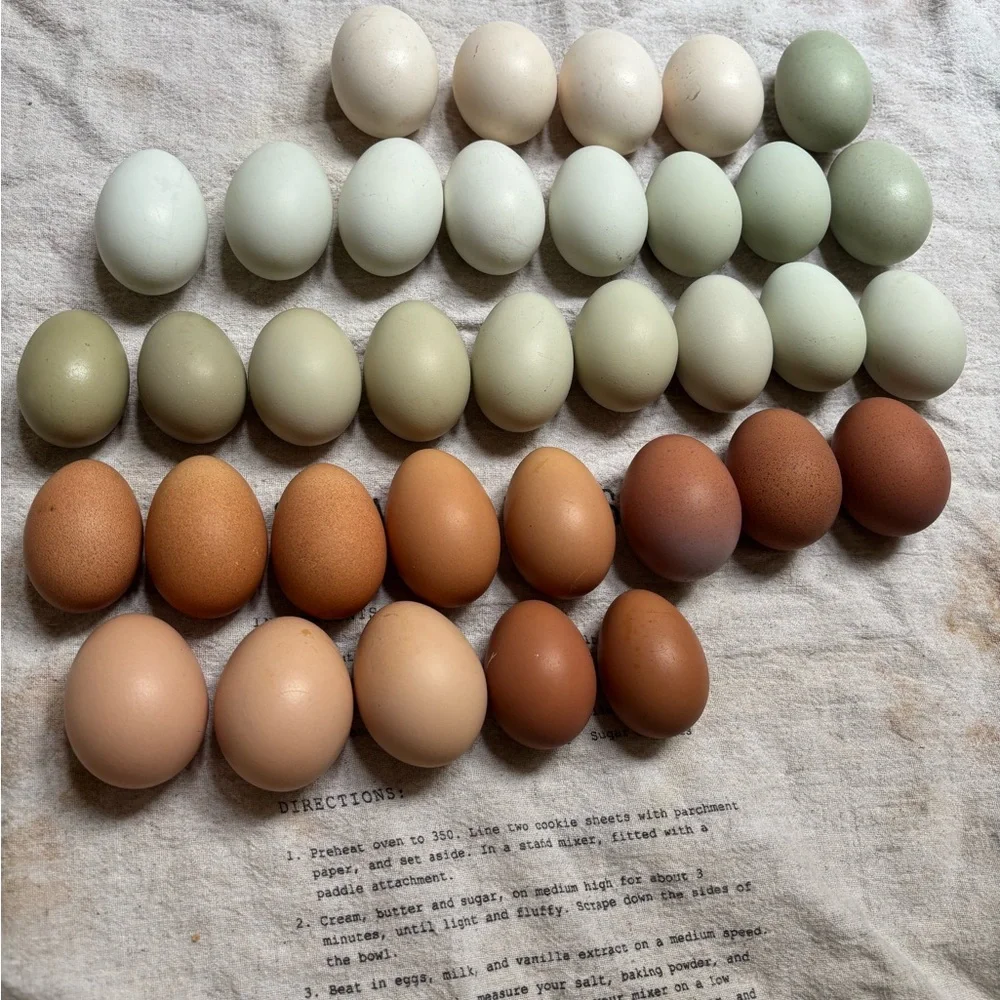 Hatching eggs 🪺 - Picture 5 of 15
